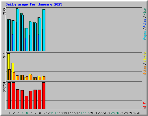 Daily usage for January 2025