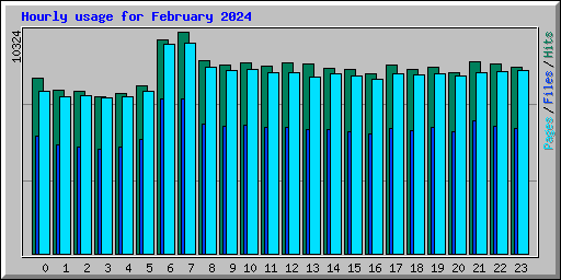 Hourly usage for February 2024