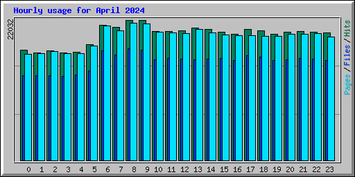 Hourly usage for April 2024