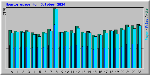 Hourly usage for October 2024