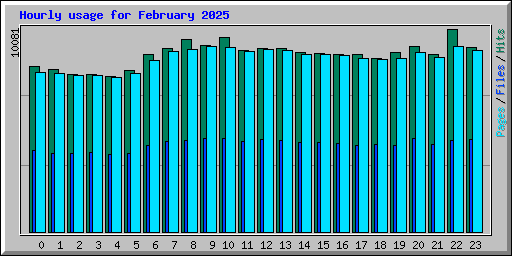 Hourly usage for February 2025