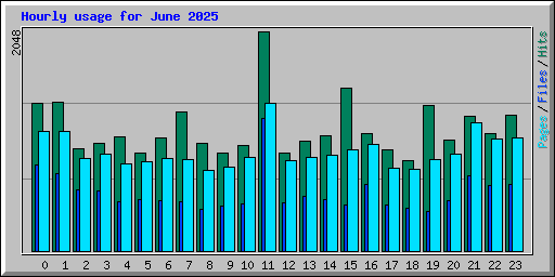 Hourly usage for June 2025