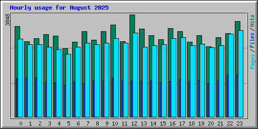 Hourly usage for August 2025