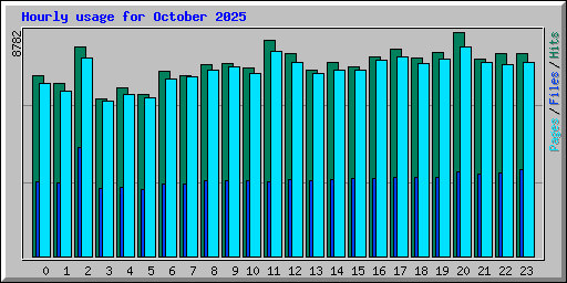 Hourly usage for October 2025