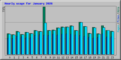 Hourly usage for January 2026