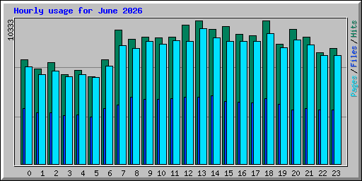 Hourly usage for June 2026